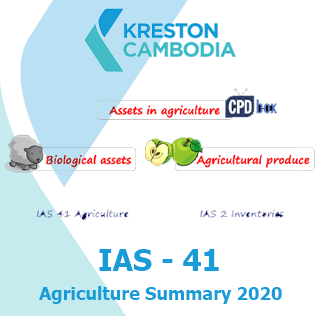 IAS-41 Agriculture Summary 2020